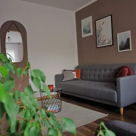 Cozy Apart Toplita Экстерьер фото