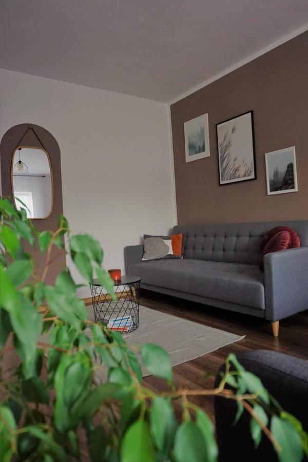 Cozy Apart Toplita Экстерьер фото