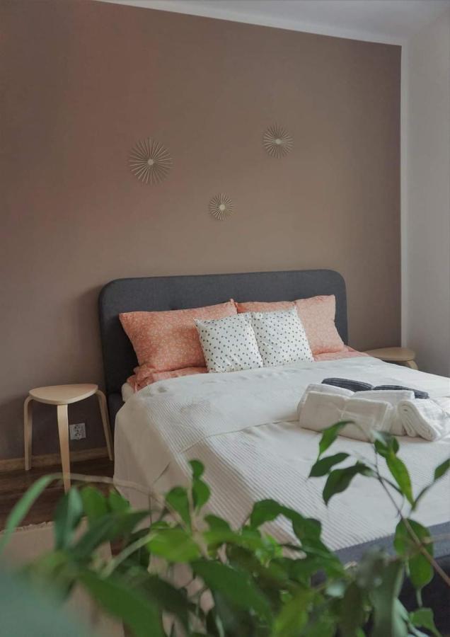 Cozy Apart Toplita Экстерьер фото